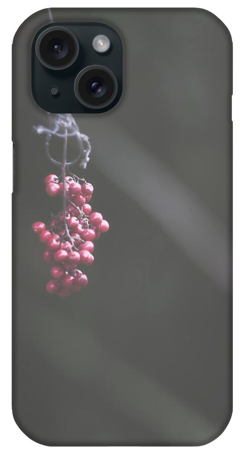 Nature Art iPhone Case featuring the photograph Suspended Animation by Gian Smith