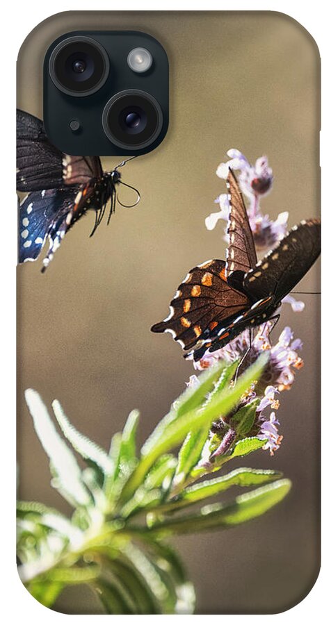 Swallowtail Butterfly iPhone Case featuring the photograph Swallowtail Takes Flight by Saija Lehtonen