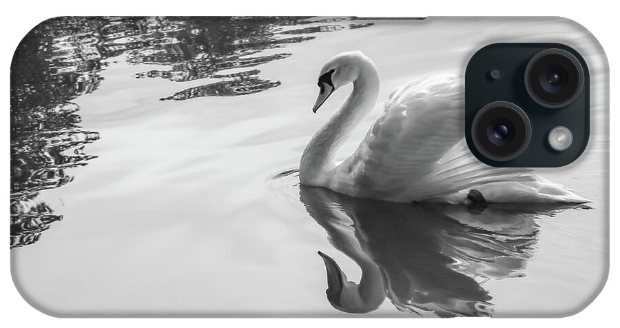Swan iPhone Case featuring the photograph Swan 5 by Cindy Robinson
