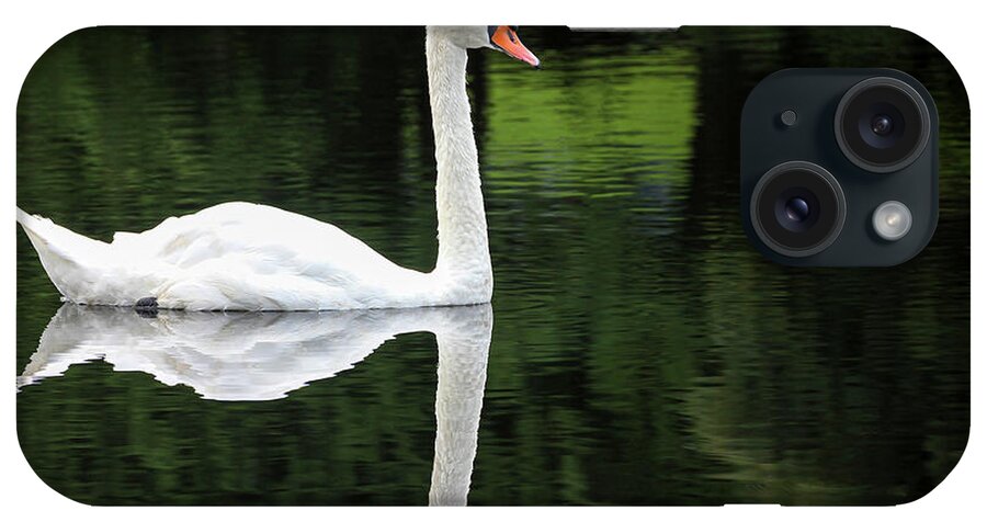 Petoskey iPhone Case featuring the photograph Swan at Spring Lake by Robert Carter