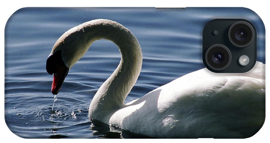 Animal iPhone Case featuring the photograph Swan in the lake by Jim Feldman
