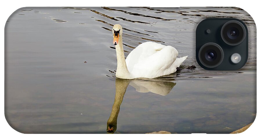 No People iPhone Case featuring the photograph Swan on water by SAURAVphoto Online Store