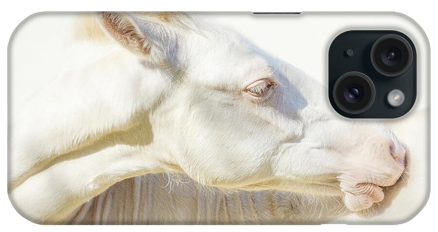 Horse iPhone Case featuring the photograph Ivory Bliss - Horse Art by Lisa Saint