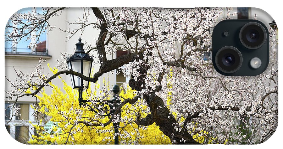 Jenny Rainbow Fine Art Photography iPhone Case featuring the photograph Sweet Spring in Prague by Jenny Rainbow