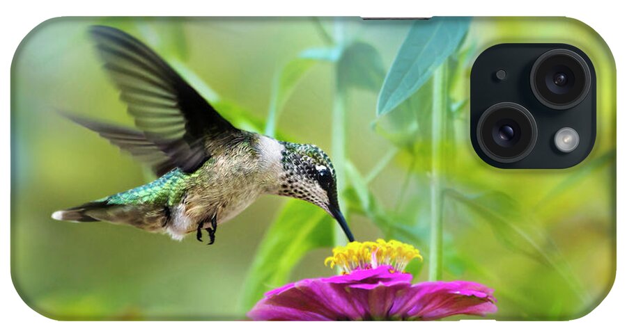Hummingbird iPhone Case featuring the photograph Sweet Success by Christina Rollo