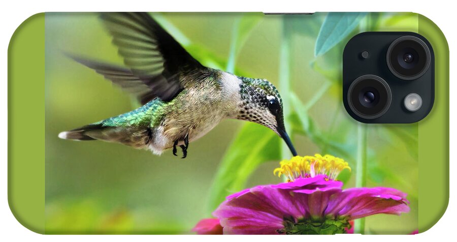 Bird iPhone Case featuring the photograph Sweet Success Hummingbird Square by Christina Rollo