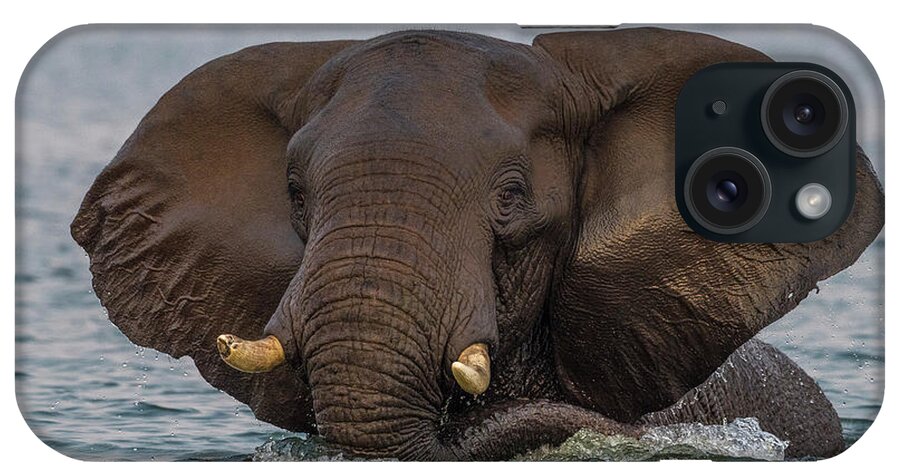 Africa iPhone Case featuring the photograph Swimming Elephant by Bill Cubitt