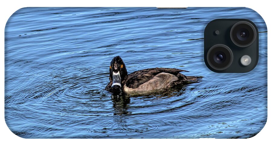 Ring Neck Duck iPhone Case featuring the photograph Swimming Ring Necked Duck by Elisabeth Lucas