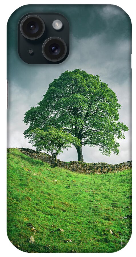 Tree iPhone Case featuring the photograph Sycamore Gap Tree by David Lichtneker