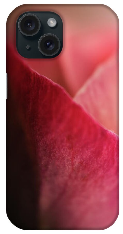 Photography iPhone Case featuring the digital art Sympathy Rose by Terry Davis
