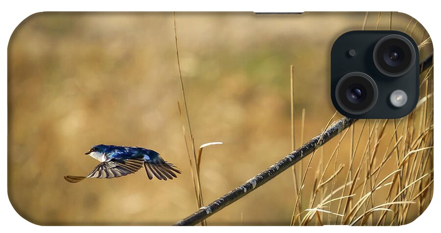 Swallow iPhone Case featuring the photograph Take-off by Alyssa Tumale