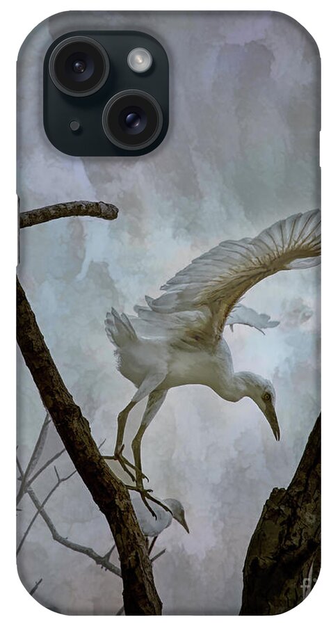 Louisiana iPhone Case featuring the photograph Taking Flight by Neala McCarten