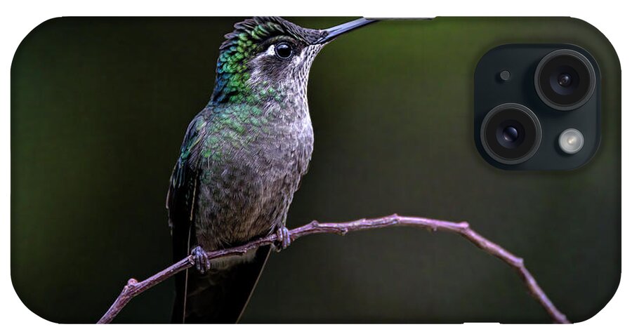Gary Johnson iPhone Case featuring the photograph Talamanca Hummingbird by Gary Johnson