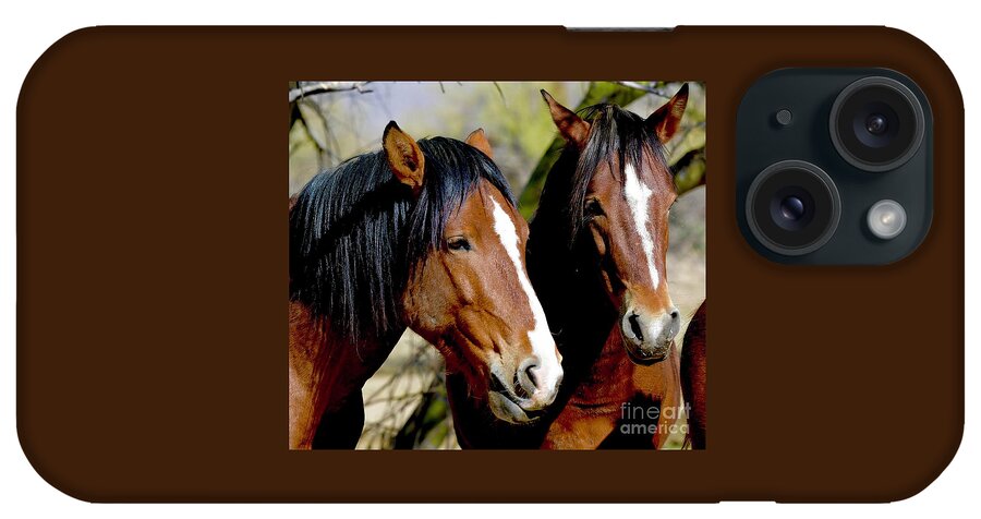 Salt River Wild Horse iPhone Case featuring the digital art Tall, Dark, and Handsome by Tammy Keyes