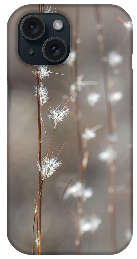 Tall iPhone Case featuring the photograph Tall Grass With White Seeds by Phil And Karen Rispin