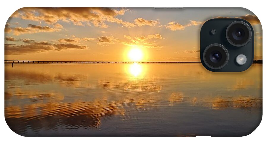 Tampa iPhone Case featuring the photograph Tampa Bay Florida Photo 175 by Lucie Dumas