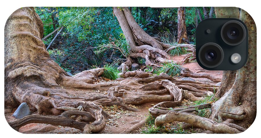 Roots Trees Tangle Twisted Landscape Fstop101 Sedona Oak Creek Canyon iPhone Case featuring the photograph Tangled Roots by Geno