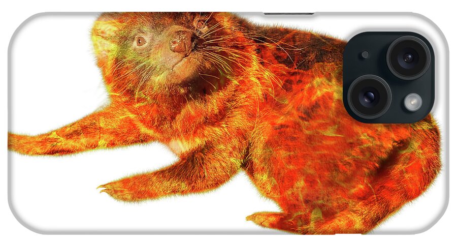 Tasmanian Devil iPhone Case featuring the photograph Tasmanian devil in the fire isolated by Benny Marty
