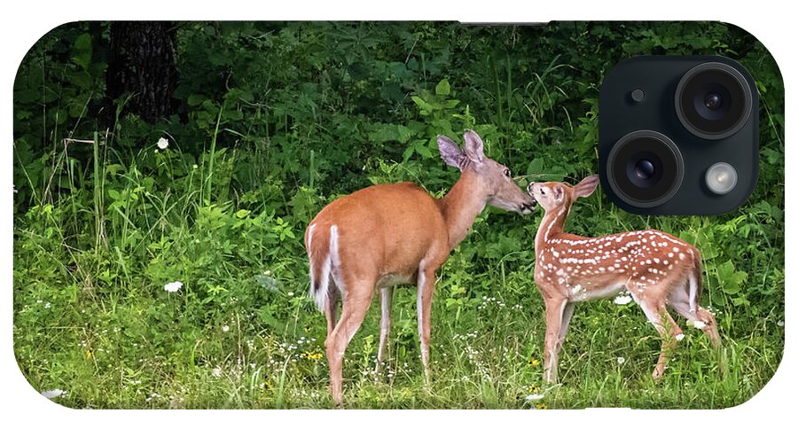 Deer iPhone Case featuring the photograph Tender Moment by Linda Shannon Morgan