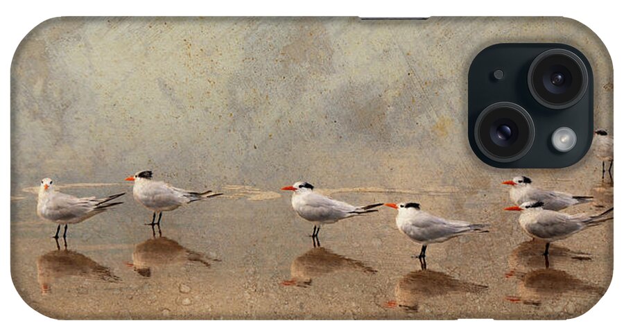 Tern iPhone Case featuring the photograph Tern Beach Meeting by Denise Strahm