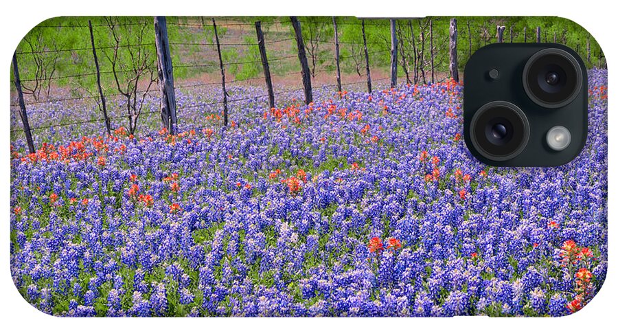 Texas Bluebonnets iPhone Case featuring the photograph Texas Heaven -Bluebonnets Wildflowers Landscape by Jon Holiday