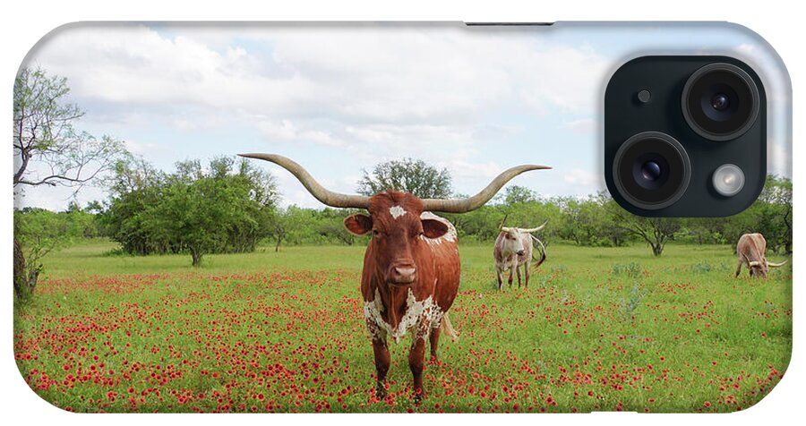 Texas Longhorns Wall Art iPhone Case featuring the photograph Texas longhorn cattle in a field of Texas wildflowers by Cathy Valle