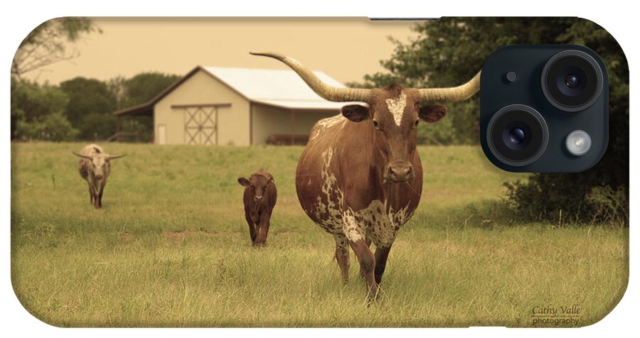 Texas Longhorn Wall Decor iPhone Case featuring the photograph Texas longhorn cow and calf by Cathy Valle