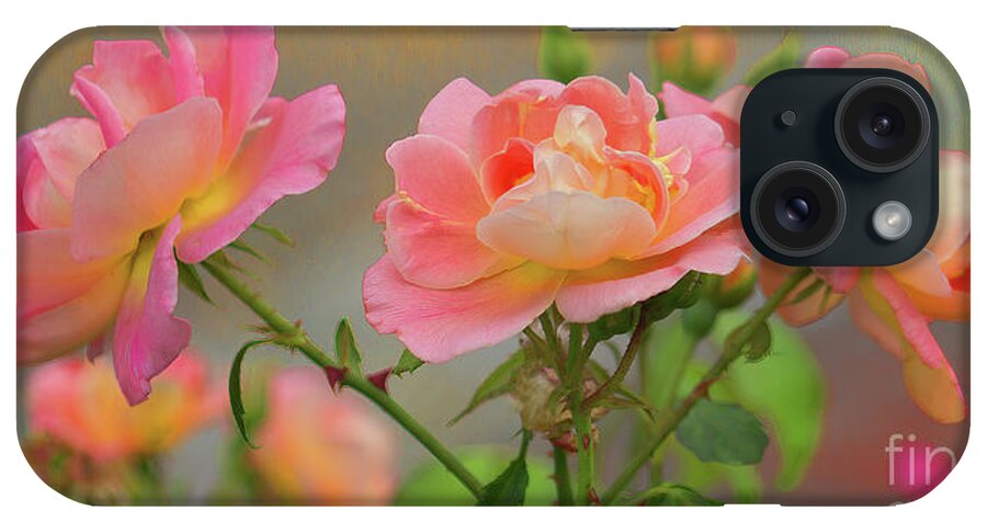 Floral iPhone Case featuring the photograph Texas Rose 3 by Roberta Byram