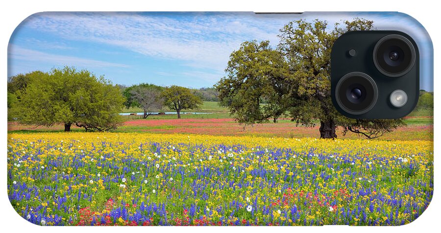 Atascosa County iPhone Case featuring the photograph Texas Wildflowers on a Spring Afternoon 317 by Rob Greebon
