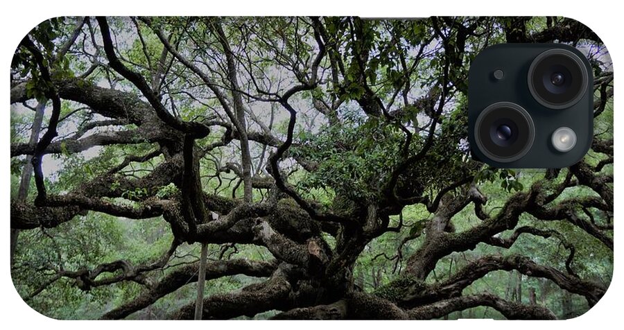 #fineartamerica #photography #images #prints #art #wallart #artist #artwork #homedecoration #framed #acrylic #homedecor #posters #coffeemug #canvasprints #fineartamericaartist #greetingcards #mug #homedecorating #phonecases #tapestries #gregweissphotographyart #grooverstudios iPhone Case featuring the photograph The Angel Oak #1 by Groover Studios