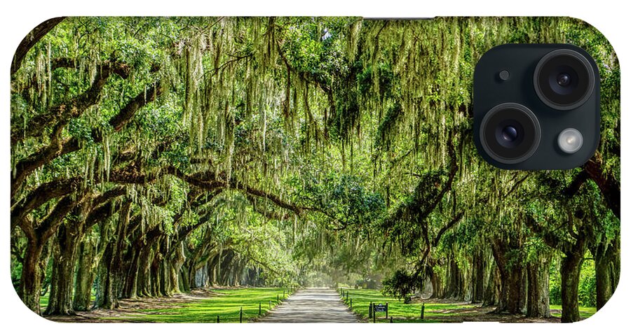 Avenue Of Oaks iPhone Case featuring the photograph The Beautiful Avenue Of Oaks by Jennifer White