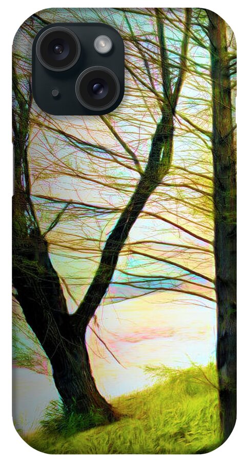 Carolina iPhone Case featuring the photograph The Beautiful Forest Trail in Abstract in Left Vertical Triptych by Debra and Dave Vanderlaan