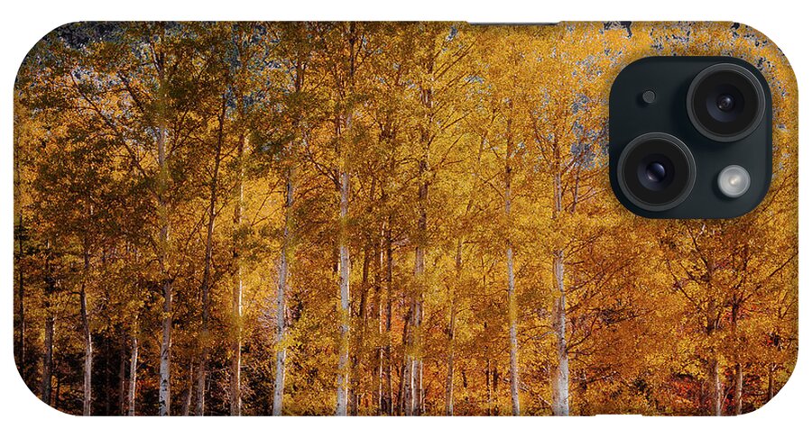 David Patterson iPhone Case featuring the photograph The Birch Trees by David Patterson