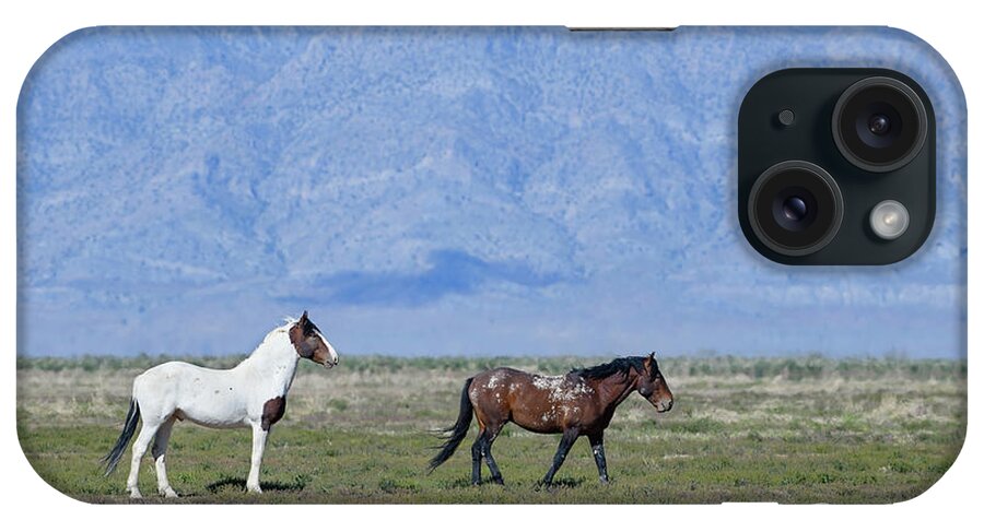 Horse iPhone Case featuring the photograph The Blue Eyed Colt by Fon Denton
