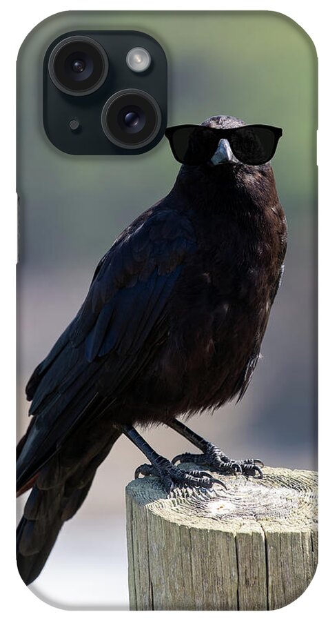 Crow iPhone Case featuring the digital art The Crow by Jim Hatch