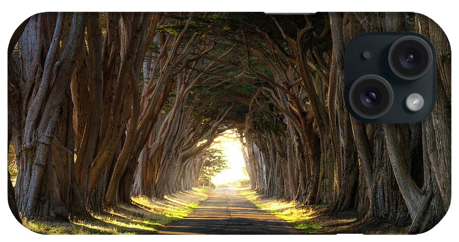 Cypresstrees iPhone Case featuring the photograph The Cypress Tree tunnel by Bryan Xavier