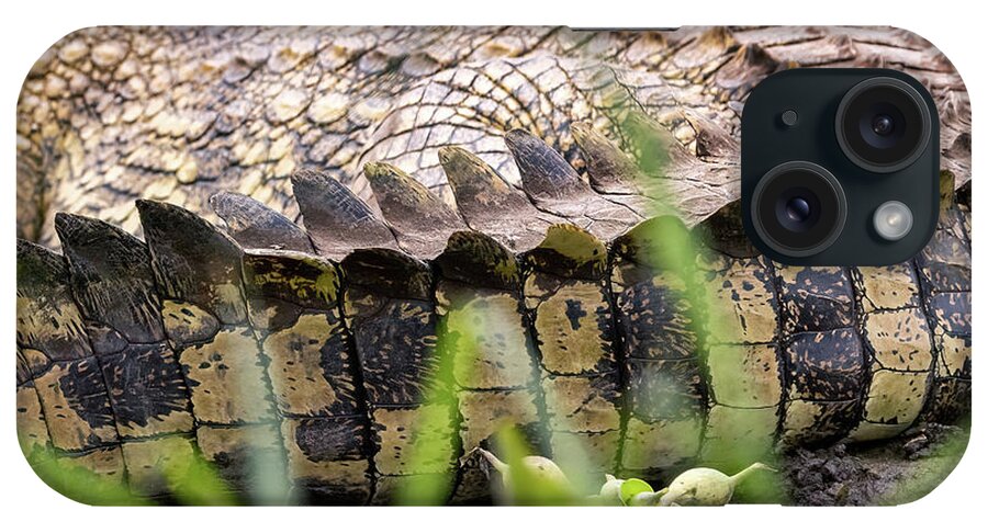Crocodile iPhone Case featuring the photograph The detail of the tail of a nile crocodile, Crocodylus niloticus, well camouflaged on the banks of Lake Edward, Queen Elizabeth National Park, Uganda by Jane Rix