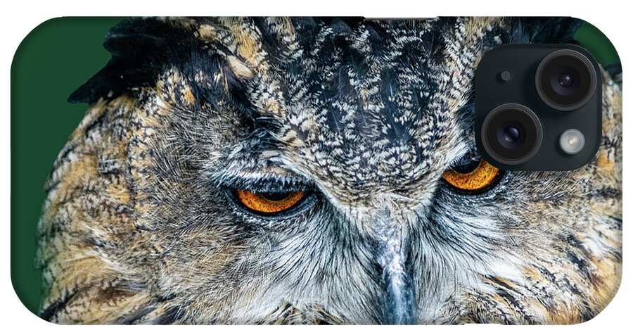 #owl #owls #birds #owlsofinstagram #nature #bird #art #owllover #owlstagram #wildlife #birdsofinstagram #owllovers #owllove #barnowl #burunghantu #owltattoo #wildlifephotography #naturephotography #love #feature #birdsofprey #animals #owlart #photography #handmade #owlobsession #eule #tattoo #birdphotography#england iPhone Case featuring the photograph The Eurasian Eagle owl by Angela Carrion Photography