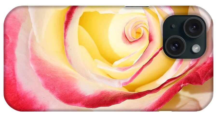 Roses Are Most Beloved And Symbolic Flowers. Love iPhone Case featuring the photograph The Eye of Beauty by Mingming Jiang