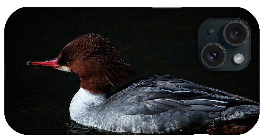 The Female Merganser iPhone Case featuring the photograph The Female Merganser by Karol Livote