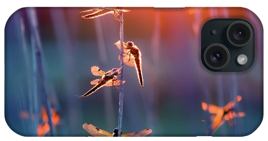 Dragonfly iPhone Case featuring the photograph The Fire Fairies - Dragonflies at sunset by Roeselien Raimond