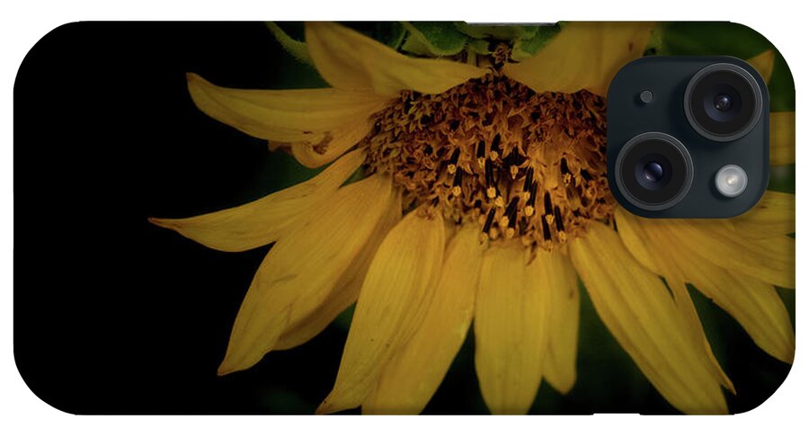 Flower iPhone Case featuring the photograph The Flashy Wild Sunflower by Laura Putman