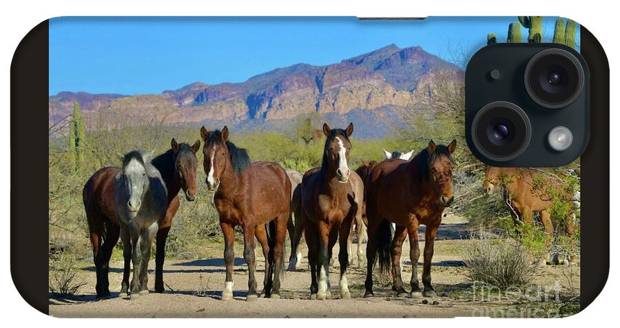 Salt River Wild Horses iPhone Case featuring the digital art The Gangs All Here by Tammy Keyes