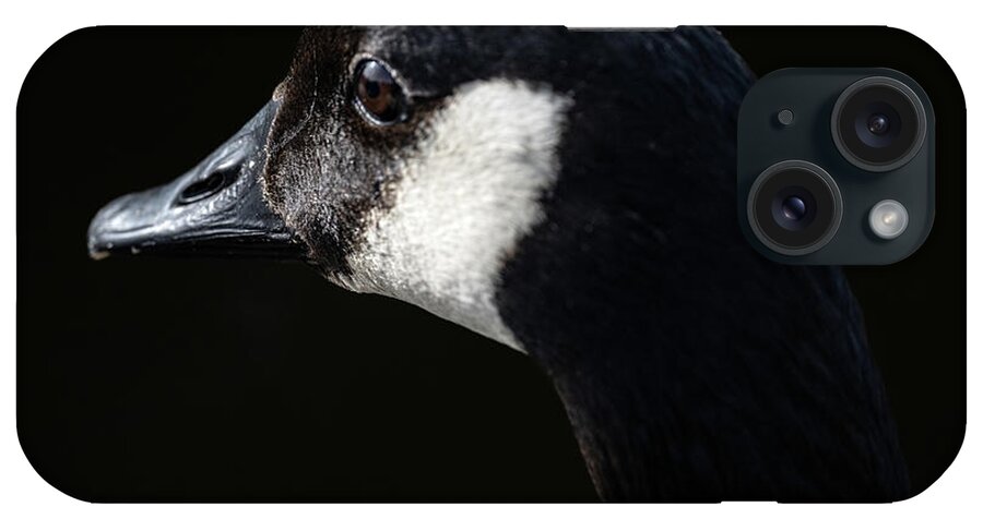 Goose iPhone Case featuring the photograph The Goose by Jerry Cahill
