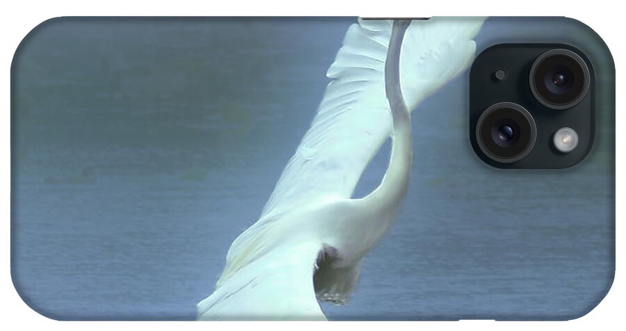 Faune iPhone Case featuring the photograph The Great dancing Egret by Carl Marceau