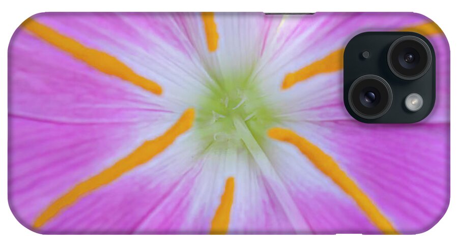 Lily iPhone Case featuring the photograph The Healing Flower by Mark Andrew Thomas