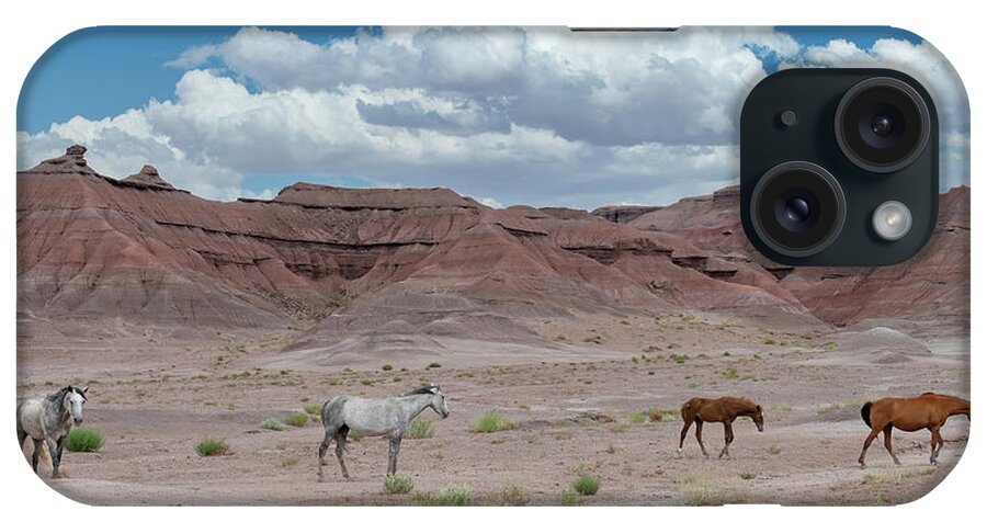 Stallion iPhone Case featuring the photograph The High Desert. by Paul Martin