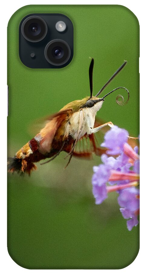Cool iPhone Case featuring the photograph The Hummingbird Moth by Linda Bonaccorsi