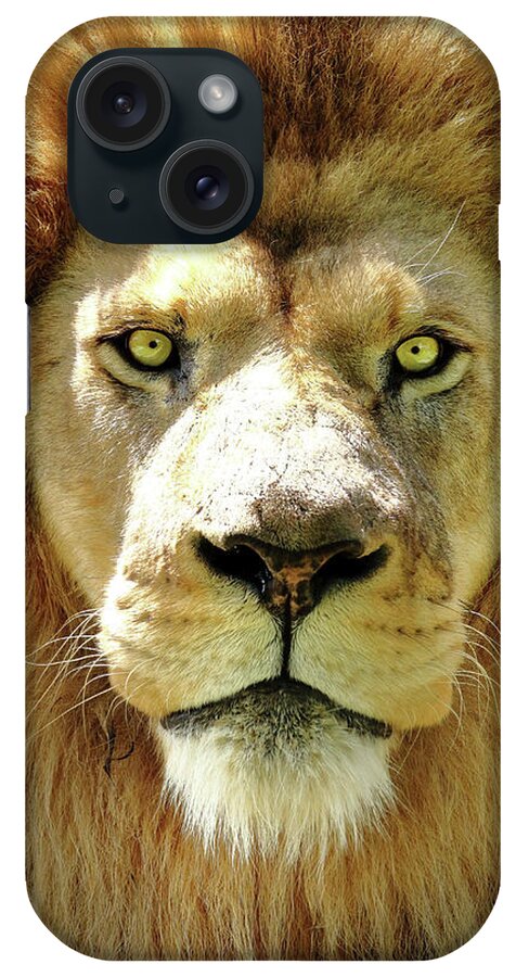 Lion iPhone Case featuring the photograph The King by Lens Art Photography By Larry Trager