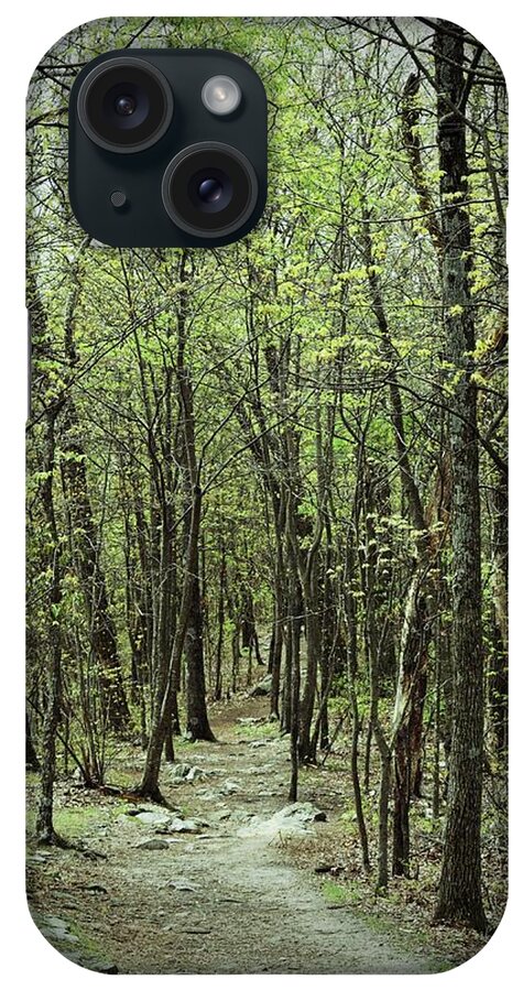 Forest iPhone Case featuring the photograph The Magic Forest by Roberta Byram